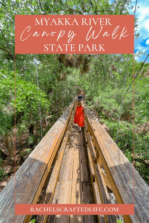 Quick Guide to Myakka River State Park Canopy Walk - Rachel's Crafted Life