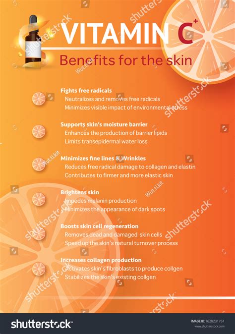 Vitamin C Benefits Skin Infographic Information: เวกเตอร์สต็อก (ปลอดค่า ...