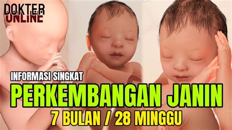 JANIN 7 BULAN - USIA KEHAMILAN 28 MINGGU DALAM KANDUNGAN - YouTube