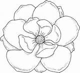 Large Flower Coloring Page At GetColoringscom  Free Printable sketch template