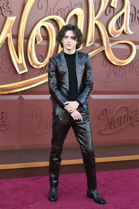 Wonka's Charm: Timothée Chalamet's Dazzling Style Reigns Supreme At 'Wonka' Premiere