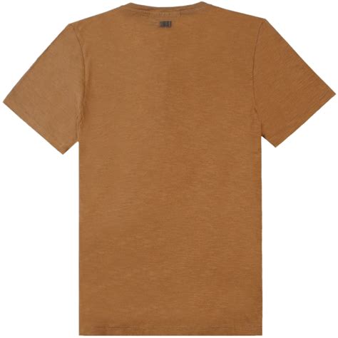 Brown Shirt Template