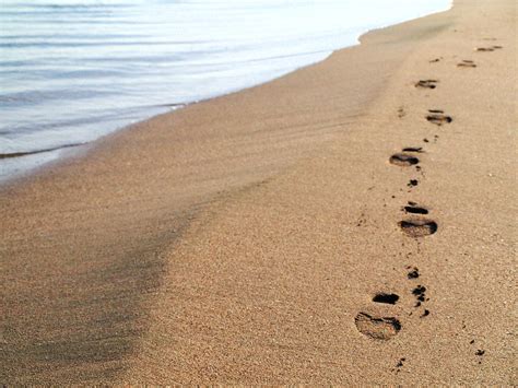 Steps in the sand Photograph by Dorina Dimova - Pixels