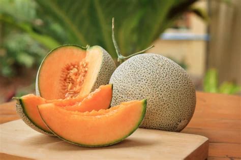 Honeydew vs Cantaloupe: What’s the Difference? - A-Z Animals