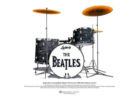 Ringo Starr's Ludwig Kit From the Shea Stadium Concert ART - Etsy