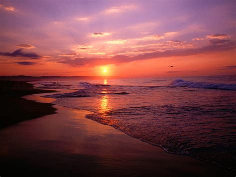 Silver Trumpets (the original) : Ocean Sunrise