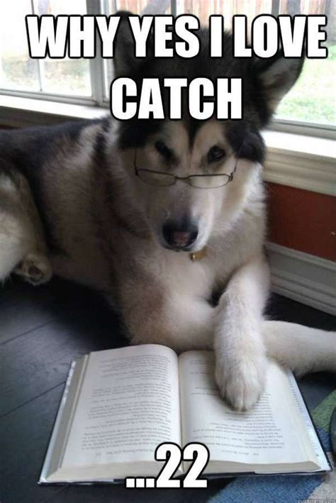 Hilariously Pretentious Puppies | Funny dog photos, Dog puns, Funny animals