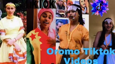 Sirba afaan oromoo haaraa 2023: Oromo music | Oromotiktok - YouTube