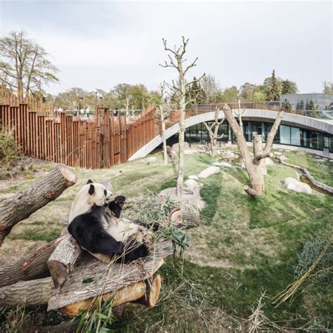 BIG completes yin-and-yang-shaped Panda House at Copenhagen Zoo - 【Free Download Architectural ...