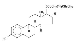 Delestrogen (Estradiol valerate): Side Effects, Uses, Dosage ...