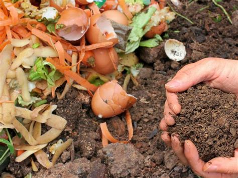 5 Benefits of Compost: Improving Soil Health and Saving Money