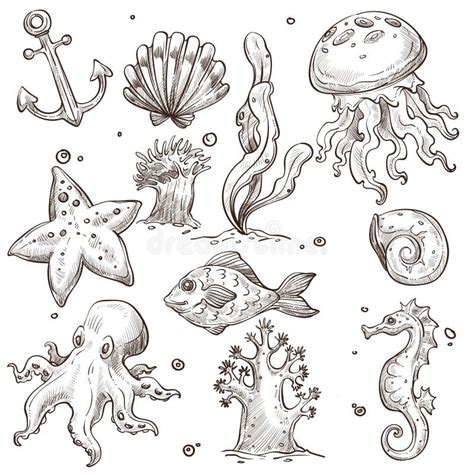 Underwater Fish and Creatures Isolated Sketches Marine Animals Stock Vector - Illustration of ...