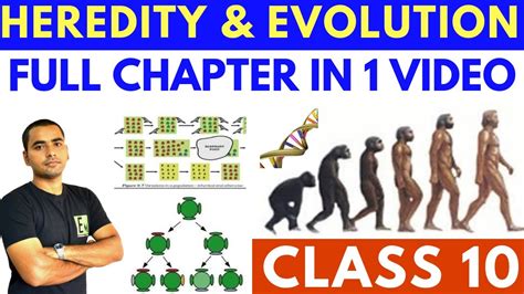 HEREDITY AND EVOLUTION (FULL CHAPTER) CLASS 10 CBSE - YouTube