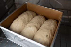 How to Proof Dough in Oven & How to Tell When It’s Done