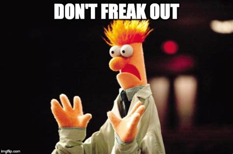 Beaker Freak Out Memes - Imgflip