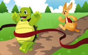 Why Is That In A Race Between A Turtle And The Rabbit, The Turtle ...