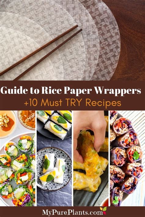 Guide to Rice Paper Wrappers (+10 Must-Try Recipes) - My Pure Plants