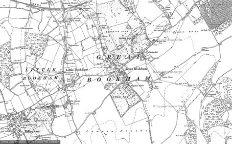 Historic Ordnance Survey Map of Great Bookham, 1894 - 1895