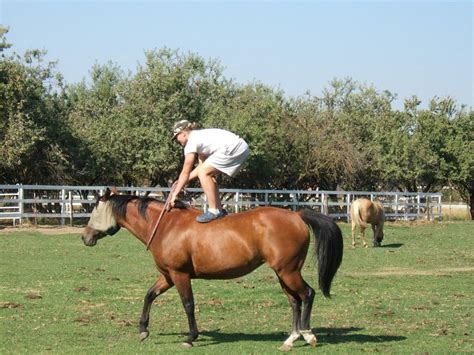 Double Dutch Farms - Riding Instructor in Ripon, California