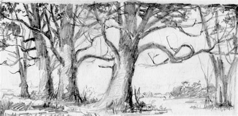 Forest Sketch Easy at PaintingValley.com | Explore collection of Forest Sketch Easy