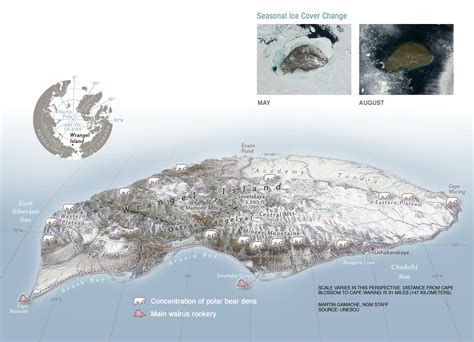 Map of Wrangel Island (2048x1481) : r/MapPorn
