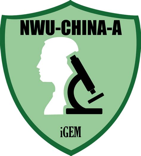 Team:NWU-CHINA-A/HP Overview - 2020.igem.org