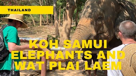 Thailand -Samui Elephant sanctuary and Wat Plai Laem - YouTube