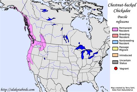 Chdestnut-backed Chickadee - Species Range Map