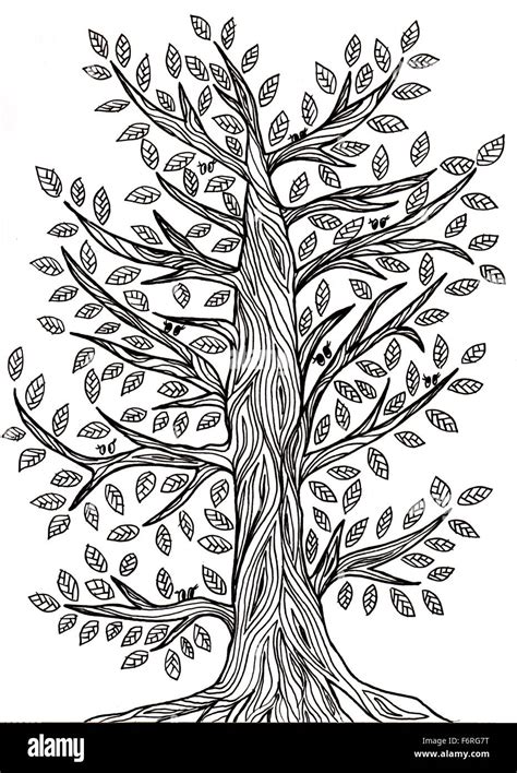 Tree line drawing hi-res stock photography and images - Alamy