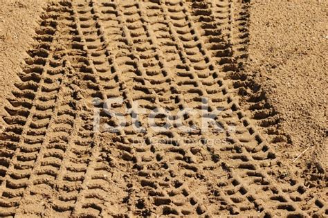 Muddy Tracks Stock Photo | Royalty-Free | FreeImages