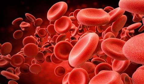 Dos nuevos medicamentos para la hemofilia B | Somos Pacientes