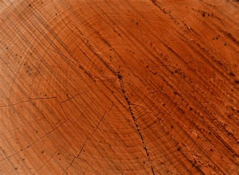 Wood Texture 3 Free Photo Download | FreeImages