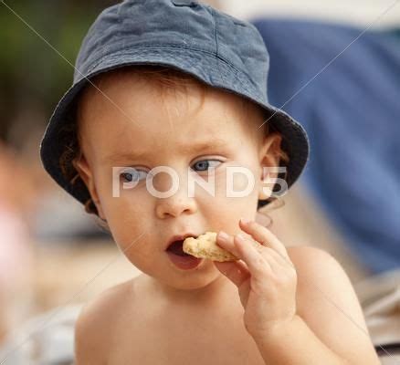 Little boy eating a cookie Stock Photos #AD ,#eating#boy#cookie#Photos | Stock photos, Little ...