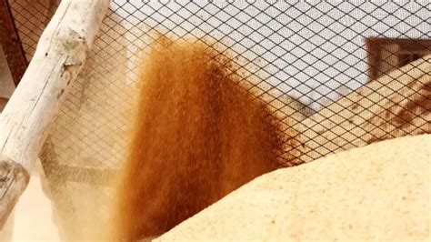 What Is Masonry Sand? (Everything You Need To Know About This All-Purpose Sand)