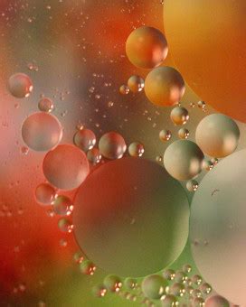 Free Images : water, abstract, petal, pattern, color, floating, colorful, yellow, toy, circle ...