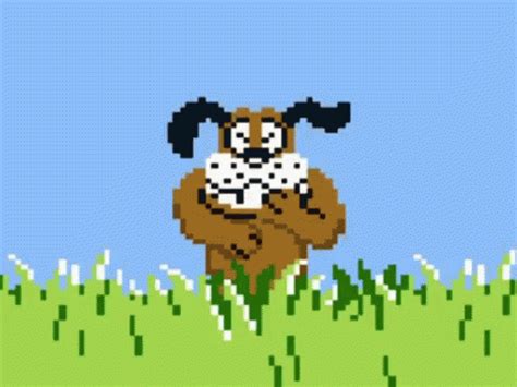 Duck Hunt Dog GIF - DuckHunt Dog Laugh - Discover & Share GIFs