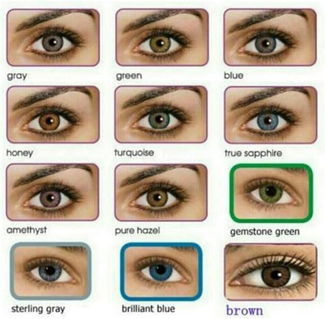 all about the human eye color chart - gold green eye color chart rare eye colors rare eyes | eye ...
