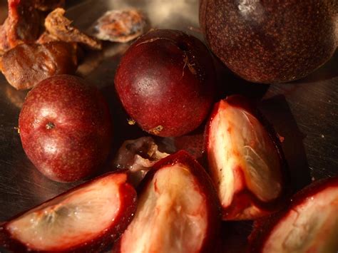Cocum, or Bindnna, a jungle plum with amazing qualities (h… | Flickr