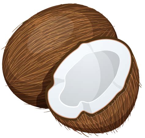 Clipart Of A Coconut