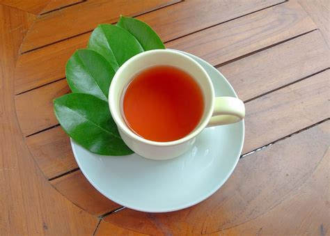 Soursop Leaf Tea Benefits - Krittiya Garden World