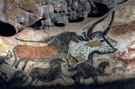 lascaux painting - Szukaj w Google | Cave paintings, Prehistoric art, Petroglyphs art