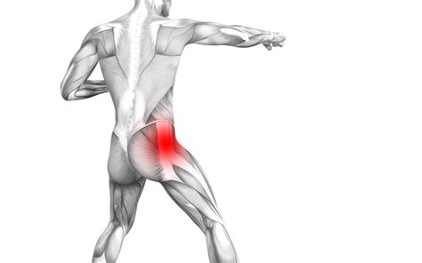 Piriformis Syndrome Signs & Symptoms | Treatment in Chicago, IL