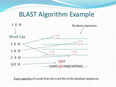 Presentation for blast algorithm bio-informatice