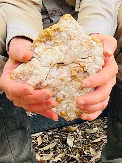 Australian man discovers rare gold nugget worth $160,000 - ABC News