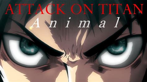 Attack On Titan || Animal - YouTube