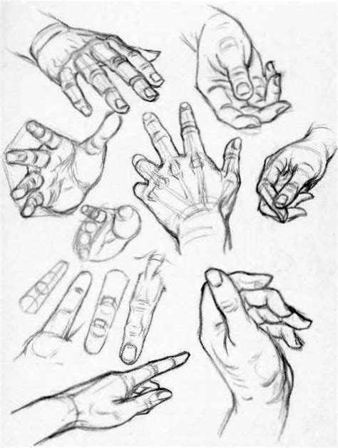 How to Draw Hands – Reference Sheets and Guides to Drawing Hands – How ...