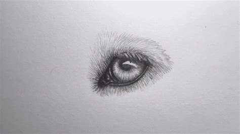 Drawing a Wolf Eye | Wolf eyes, Drawings, Eyes