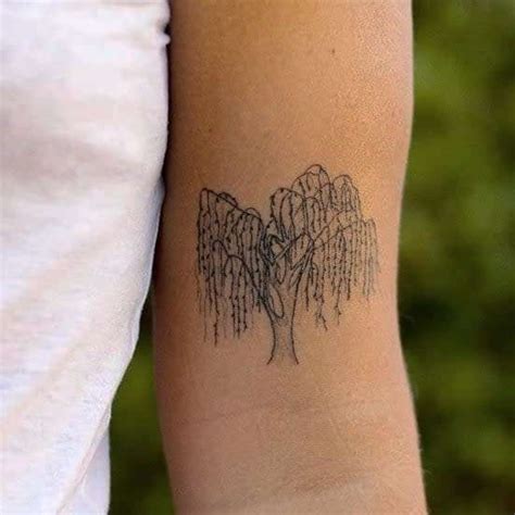 Willow Tree Tattoo Drawings