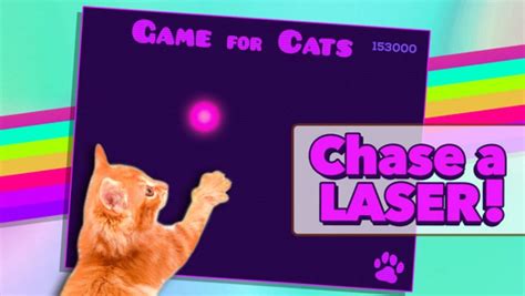 10 Exciting Video Games for Cats on iPad | Free apps for android, IOS ...