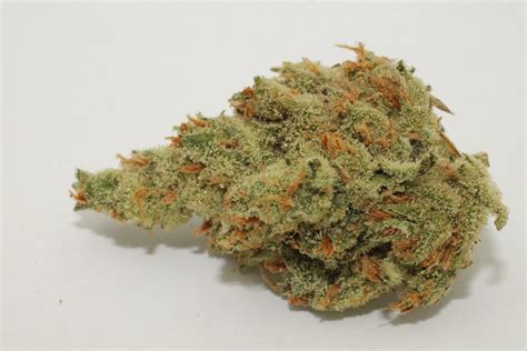 Big Buddha Cheese from Americas Finest Flowers in San Diego, CA